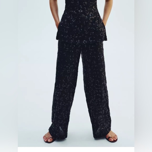 Zara Pants - Zara sequin volume pants